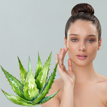 lr aloe vera основна грижа